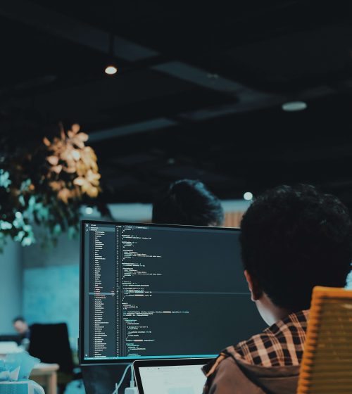 arif-riyanto-vJP-wZ6hGBg-unsplash arif-riyanto-vJP-wZ6hGBg-unsplash